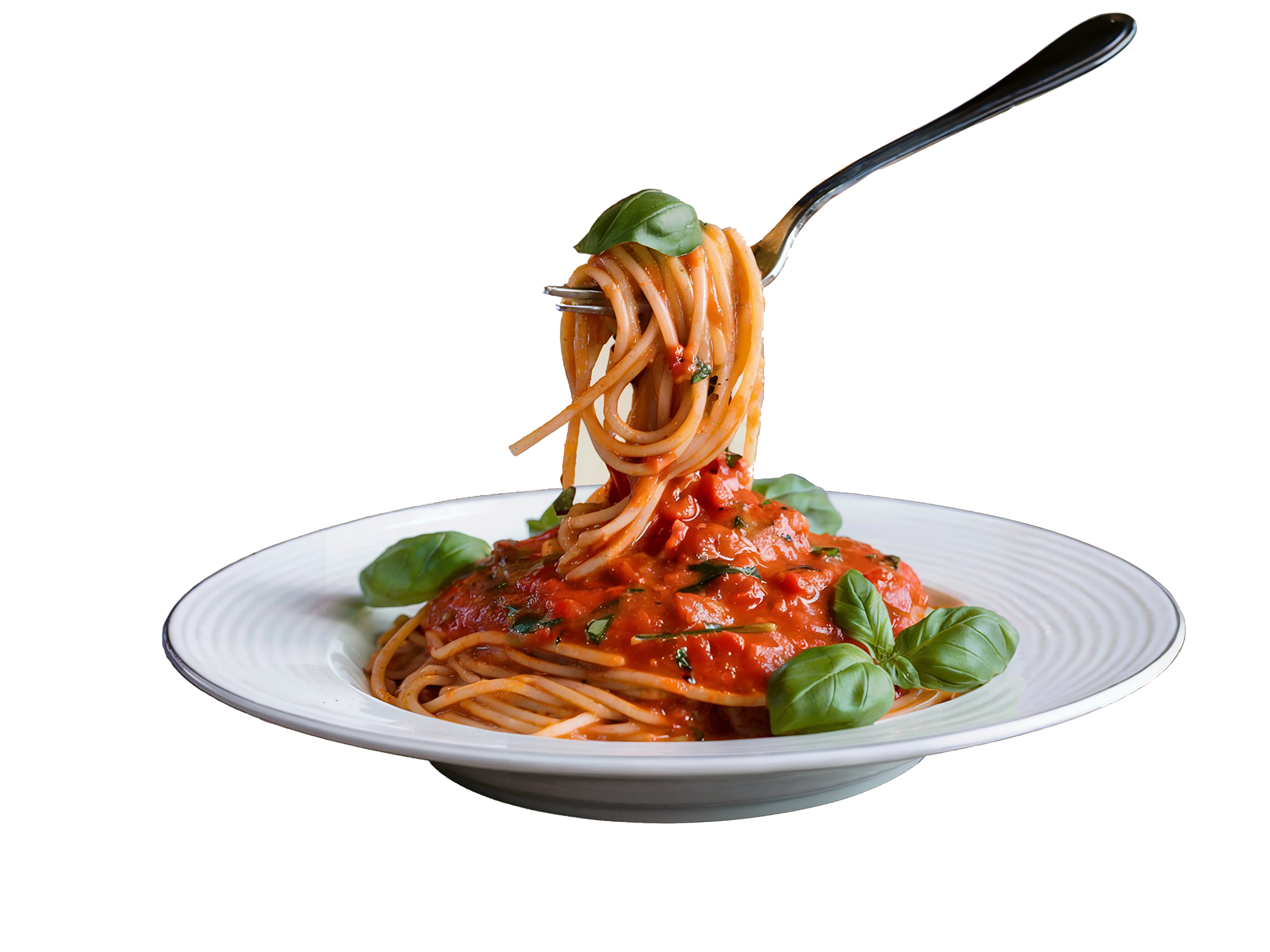 A pasta plate with tomato sauce